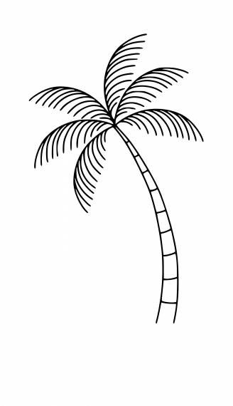 a black and white drawing of a palm tree