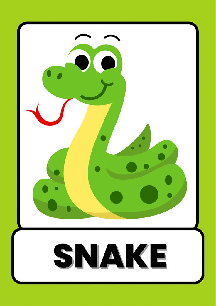 animals flash card, animals flash cards, farm animals flash card, animals flash cards pdf, wild animals flashcards, zoo animal flashcards, animals flashcards pdf, animals flashcards printable, animals flashcards free printable, flashcards of animals, flash cards or flashcards Zoo Animal Flashcards Free Printable, Wild Animals Flashcards, Animals Flashcards For Kids, Snakes For Kids, Reading Comprehension Grade 1, S Worksheet, Kids Learning Alphabet, Abc Preschool, Different Types Of Animals