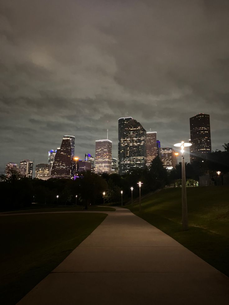 the city skyline is lit up at night, with street lights in the foreground