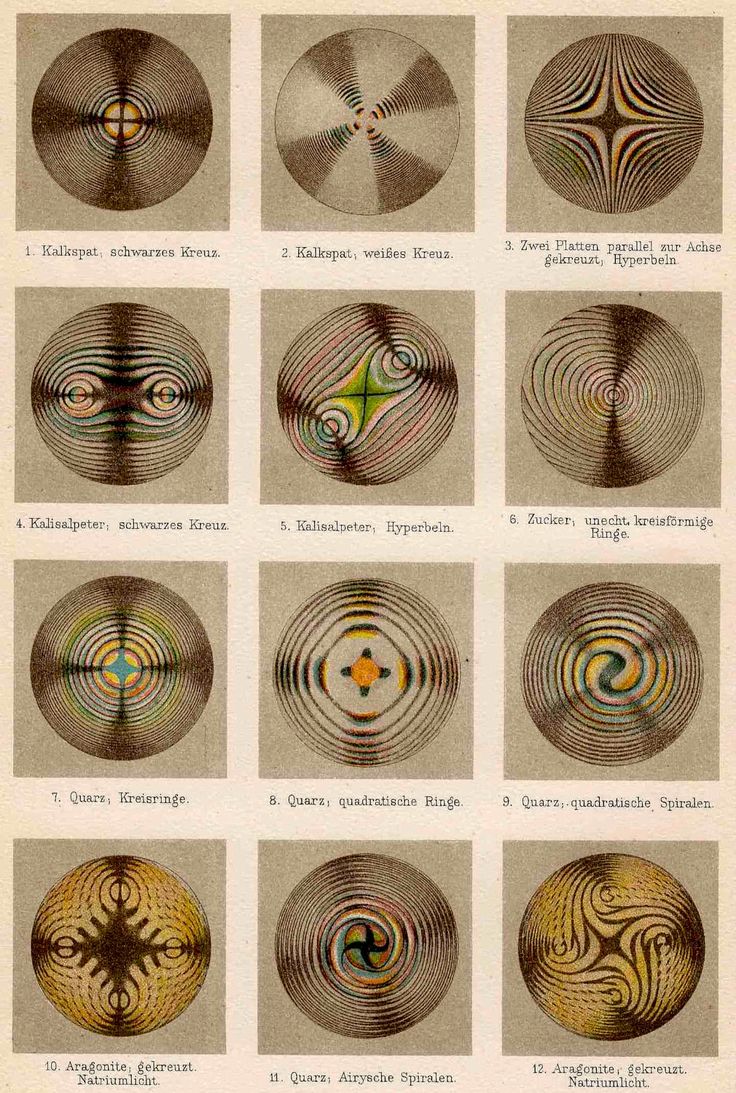 an old book page with different types of circles and lines on the same page,