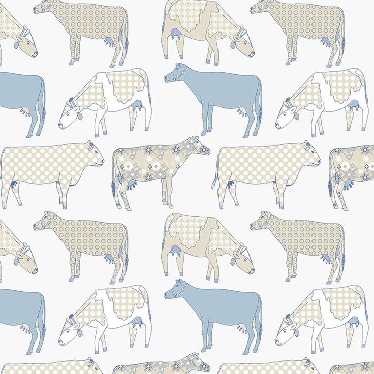 the cows are standing together on the blue and white background