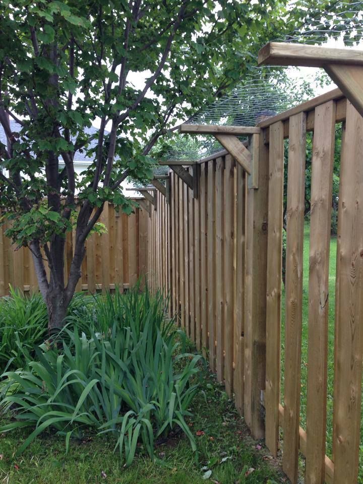 a wooden fence in front of a tree and some plants on the grass near it