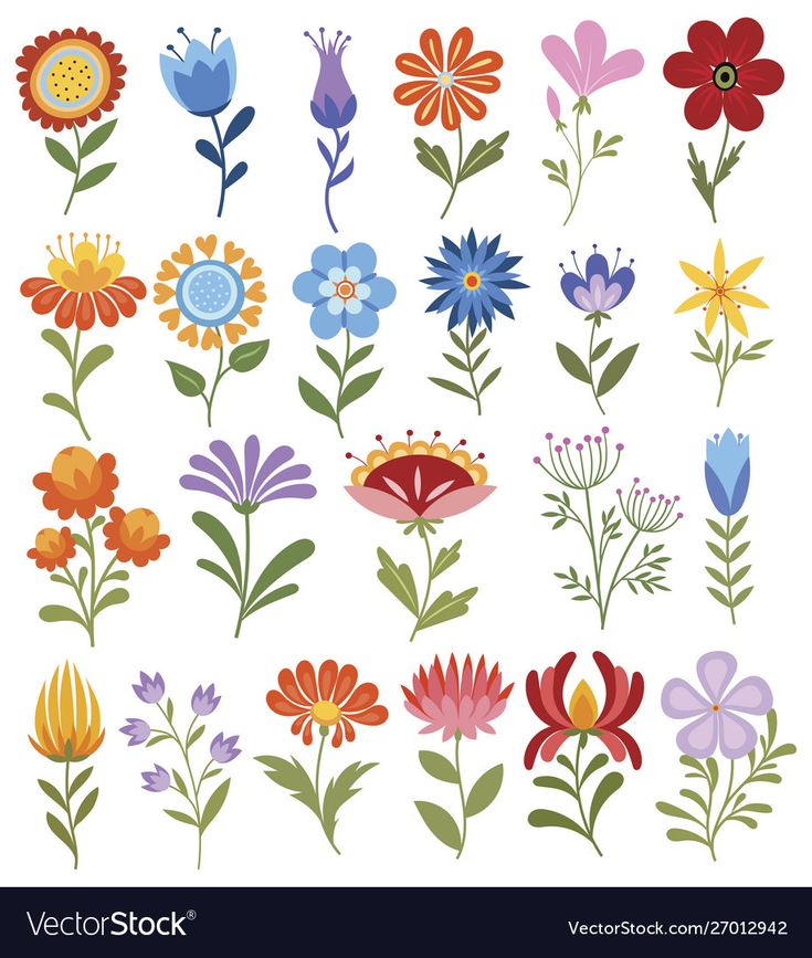 various flowers and leaves on a white background