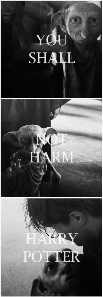 Dobby Quotes, Memes Harry Potter, Ron Y Hermione, Scorpius And Rose, Harry Potter Sirius, Harry Potter Dobby, Dobby Harry Potter, Yer A Wizard Harry, Harry Potter Love