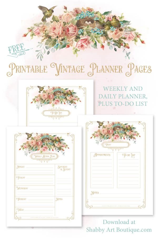 the printable vintage planner pages with flowers and birds on them are shown in three different colors