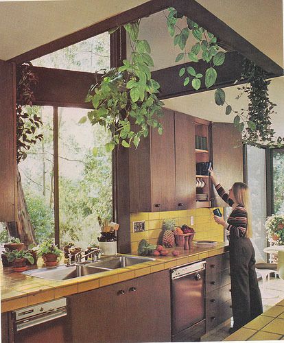 a woman is in the kitchen with plants hanging from the ceiling and she is washing dishes