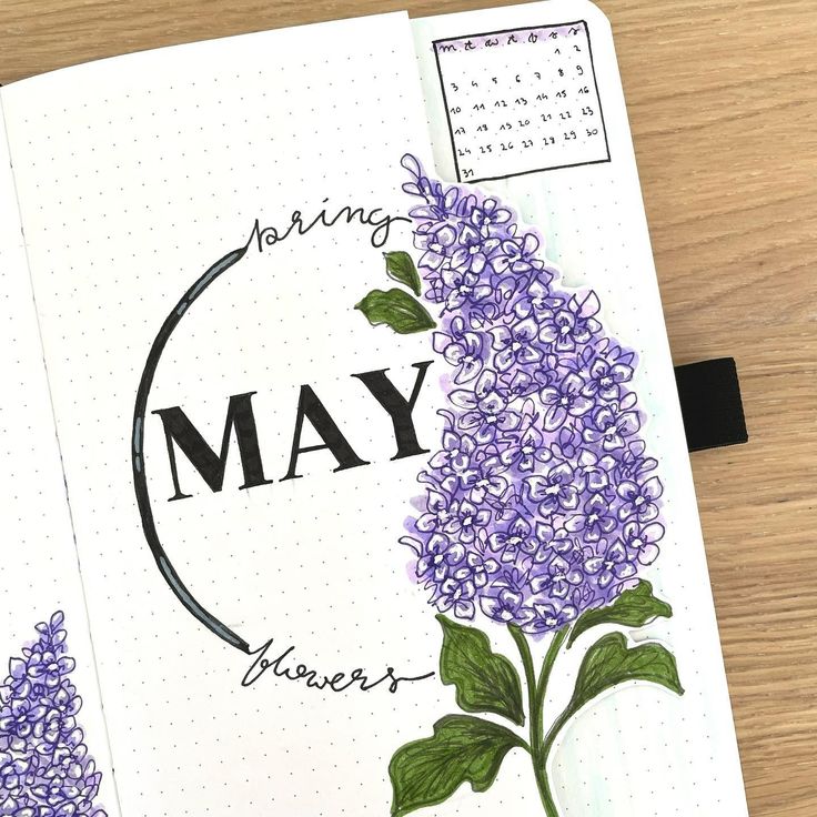 Cover Page Instagram, May Journal Cover, Year Cover Page, Lilac Doodle, Journal Flatlay, May Bullet Journal Cover, May Cover Page, Aesthetic Assignment Ideas, Purple Board