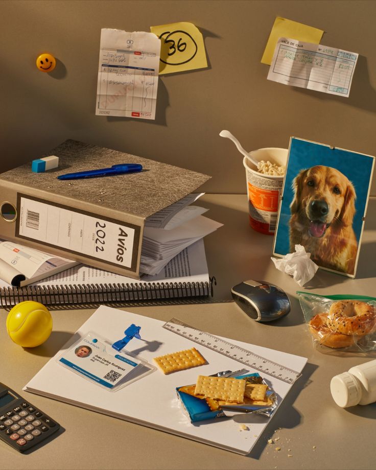 an office desk with various items on it and a dog's face in the middle