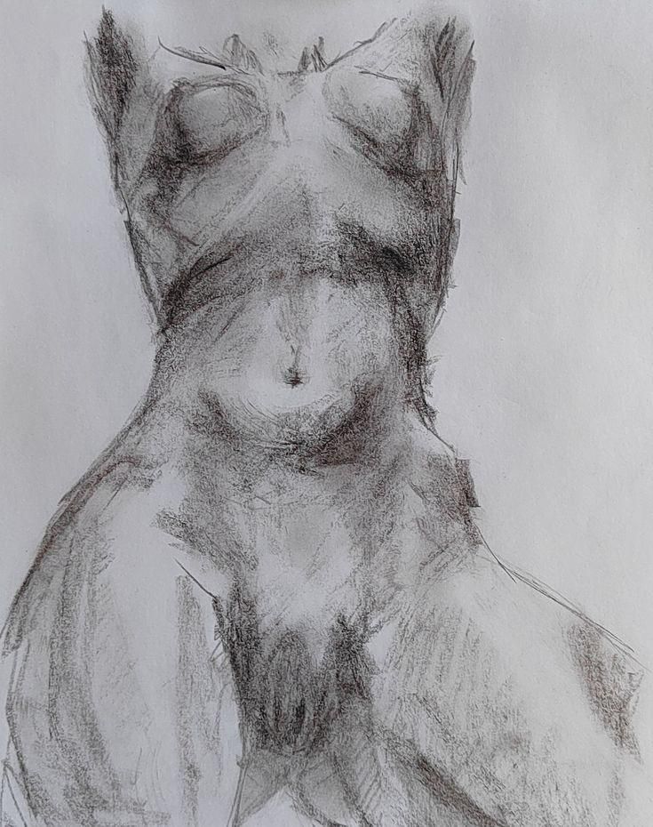 a pencil drawing of a naked woman's torso