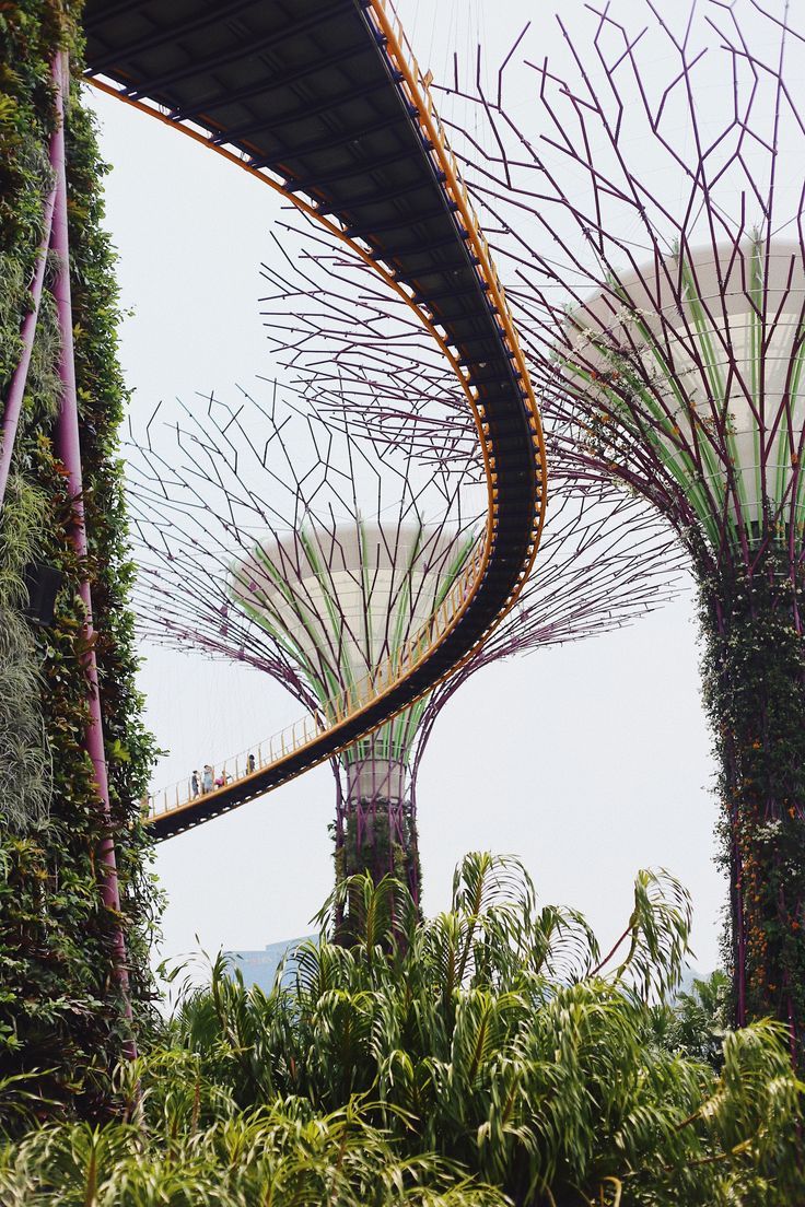 Solar trees Phone Wallpaper Backgrounds, Gardens By The Bay Singapore, Solar Tree, Singapore Photos, Solar Farm, Artistic Installation, Gardens By The Bay, Backgrounds Phone Wallpapers, Travel Goals