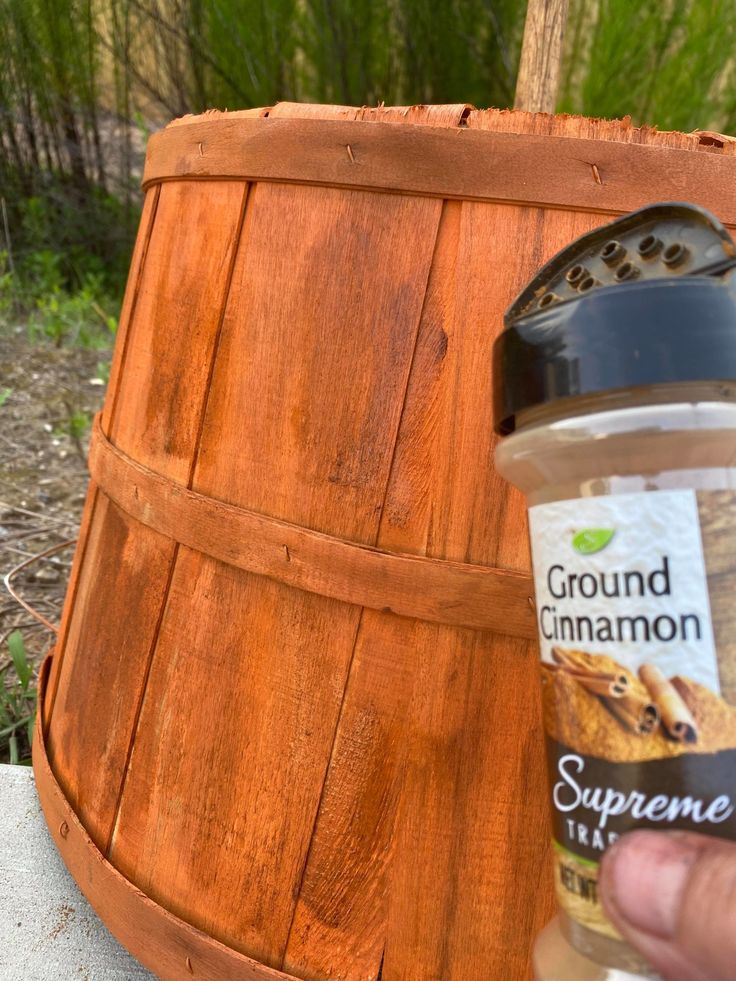 a hand holding a jar of ground cinnamon next to a wooden barrel with the lid open