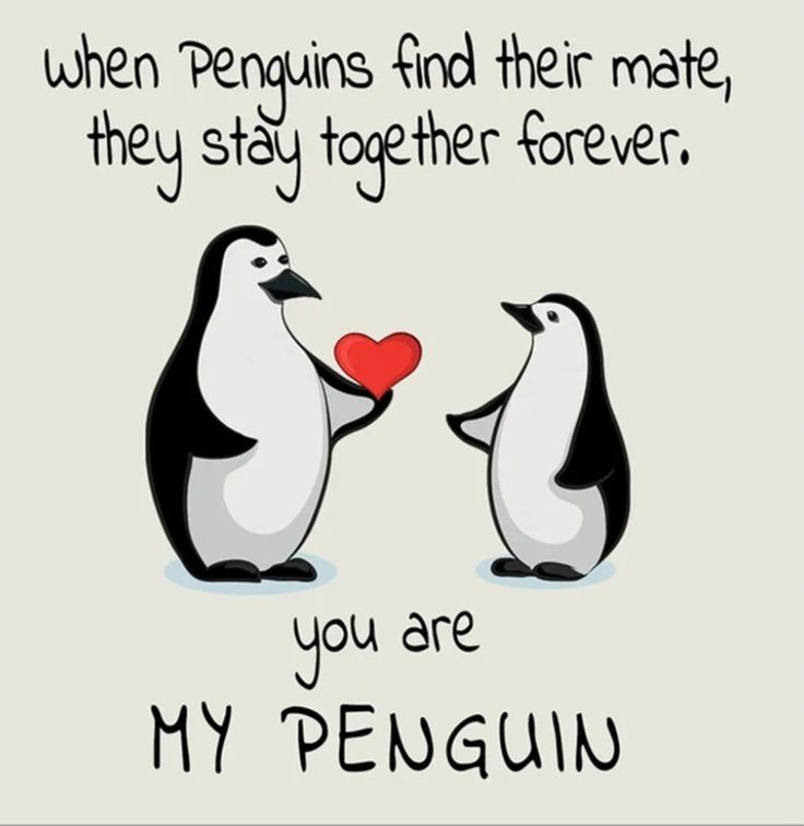 two penguins holding a red heart with the caption when penguins find their mate, they stay together forever