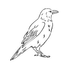 a black and white drawing of a bird