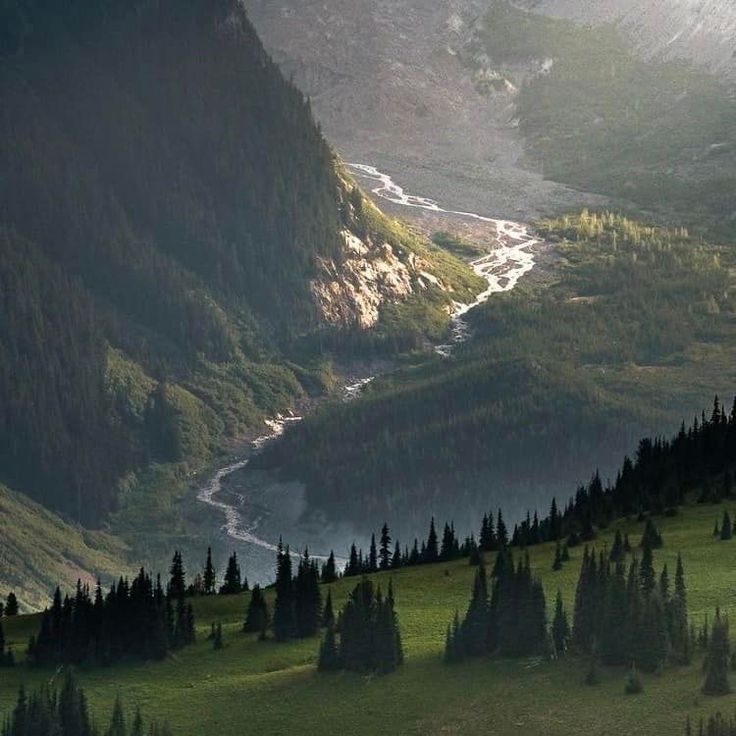 the valley is surrounded by trees and mountains with water running down it's sides