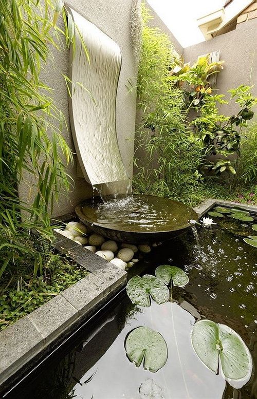 an outdoor pond with water lilies in it