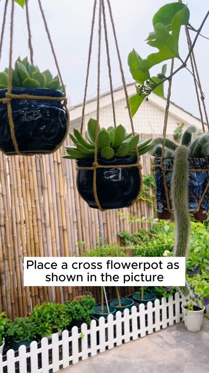 three hanging planters with succulents in them