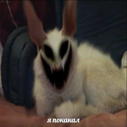 a white and black animal laying on top of a bed next to a persons hand