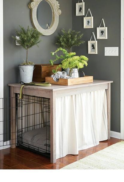 a dog house with plants and pictures on the wall