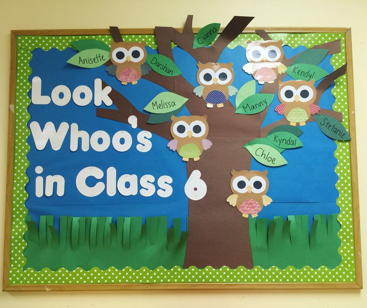 a bulletin board with an owl tree on it