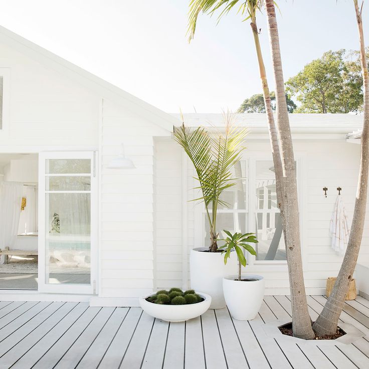 two potted palm trees on a deck in front of a white house with a black and white striped rug