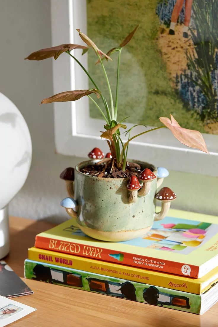 a potted plant sitting on top of three books