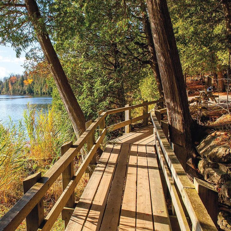 a wooden walkway next to a lake surrounded by trees