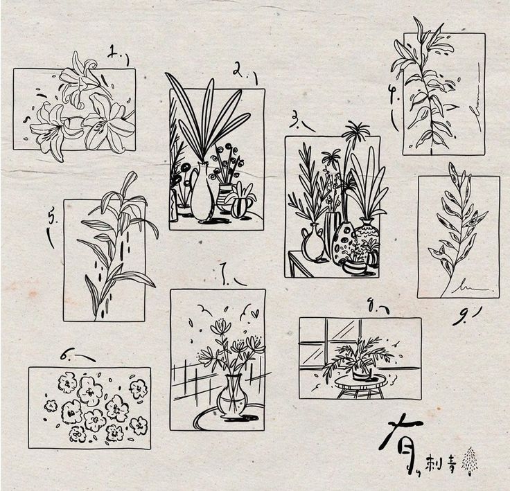 a drawing of flowers and plants in vases