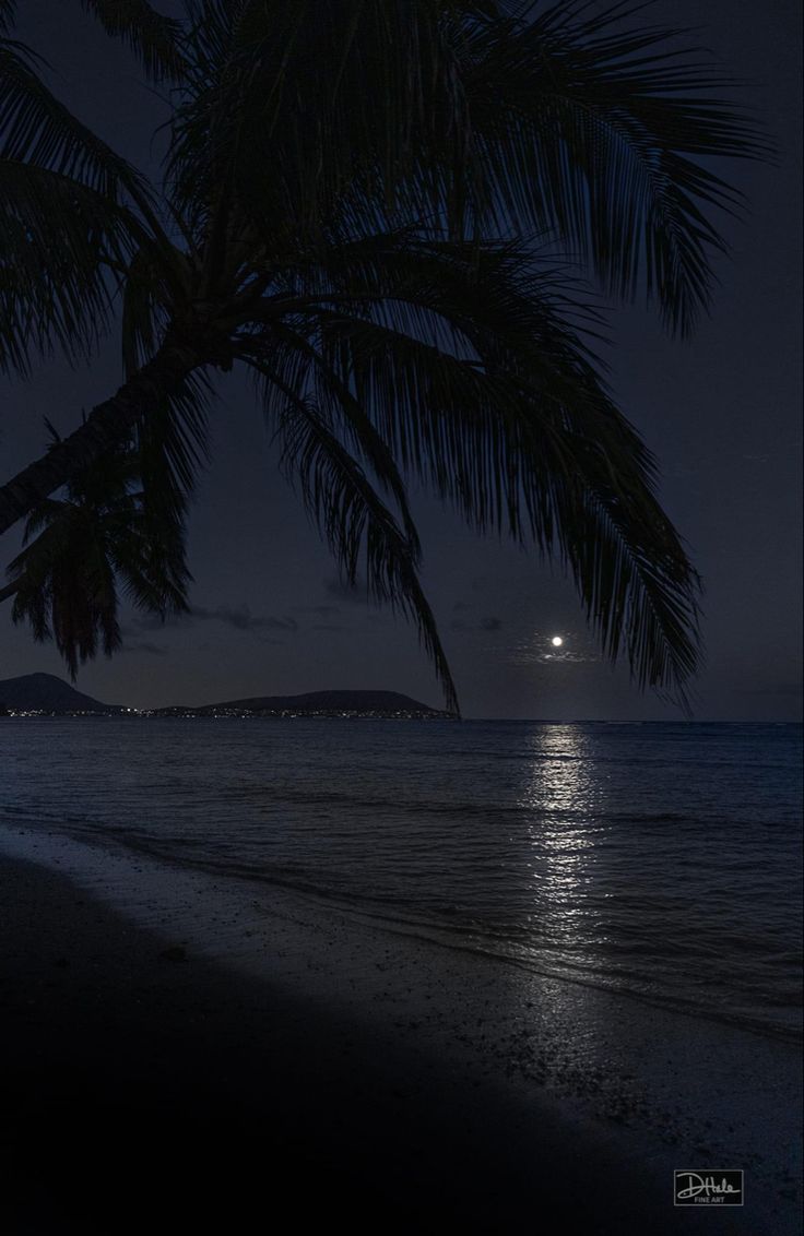 the moon is setting over the ocean with palm trees on the beach and in the foreground