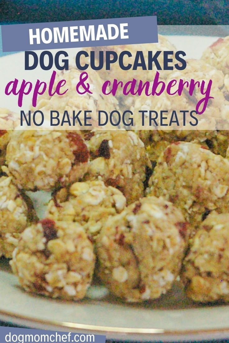 homemade apple and cranberry no bake dog treats