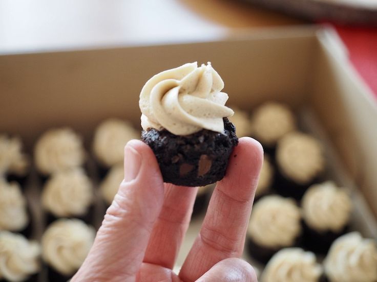 a hand holding up a chocolate cupcake with white frosting