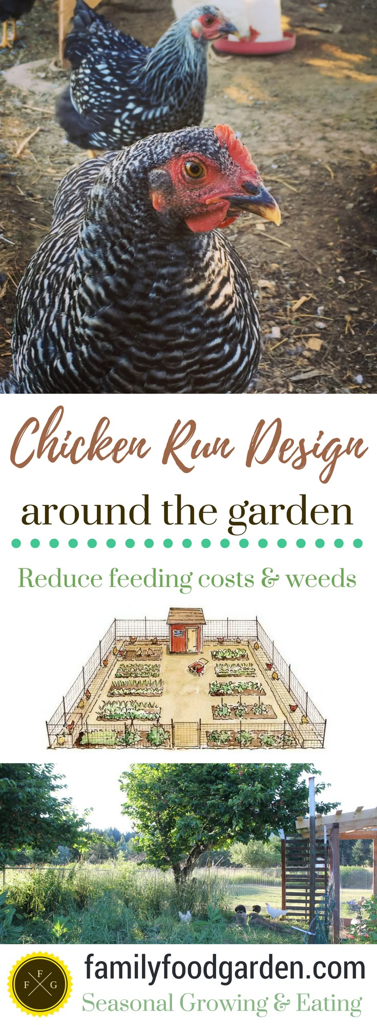 the chicken run design around the garden is featured in this ad for familyfoodgard com