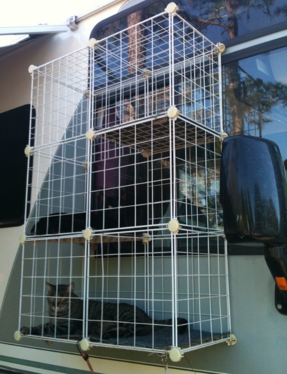 a dog in a cage on the back of a trailer parked next to a building