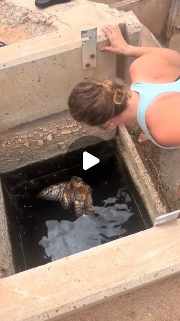 a woman bending over to look at two turtles