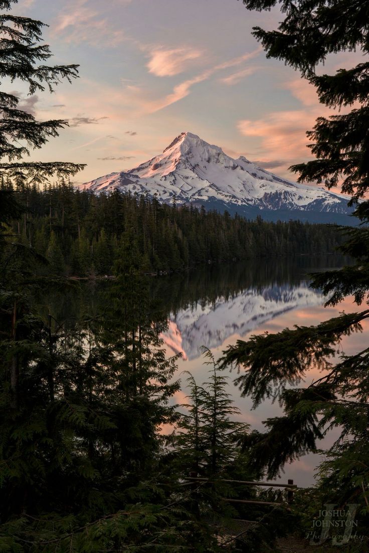 a mountain is shown in the distance with trees around it and water on the ground