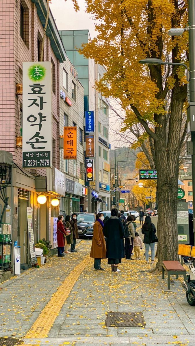 Living In Korea Aesthetic, Korea Core Aesthetic, Korea Asethic, Korea Vibes Aesthetic, Autumn Foods, Korea Autumn, Korea Street, Autumn In Korea, Seoul Korea Travel