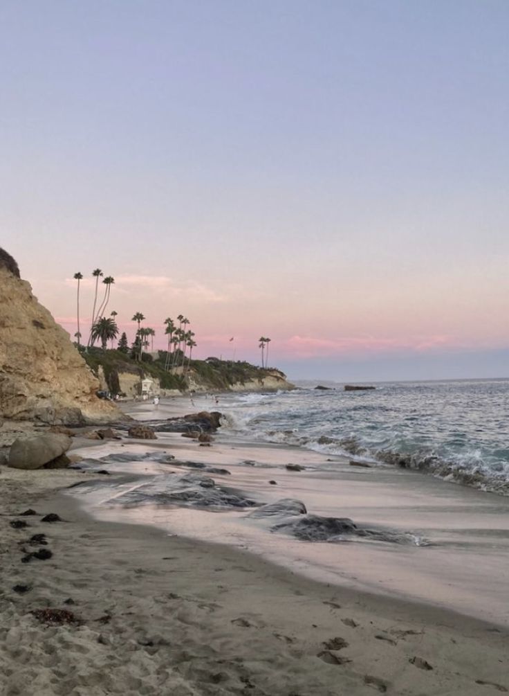 the beach is lined with palm trees and rocks