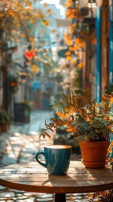 there is a coffee cup sitting on the table in front of some potted plants