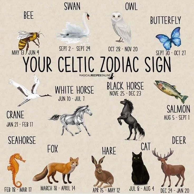 the zodiac sign for your zodiac sign is shown with animals and their names in english