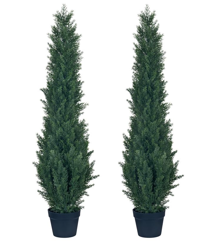 two potted plants are shown side by side on a white background, one is green and the other is blue