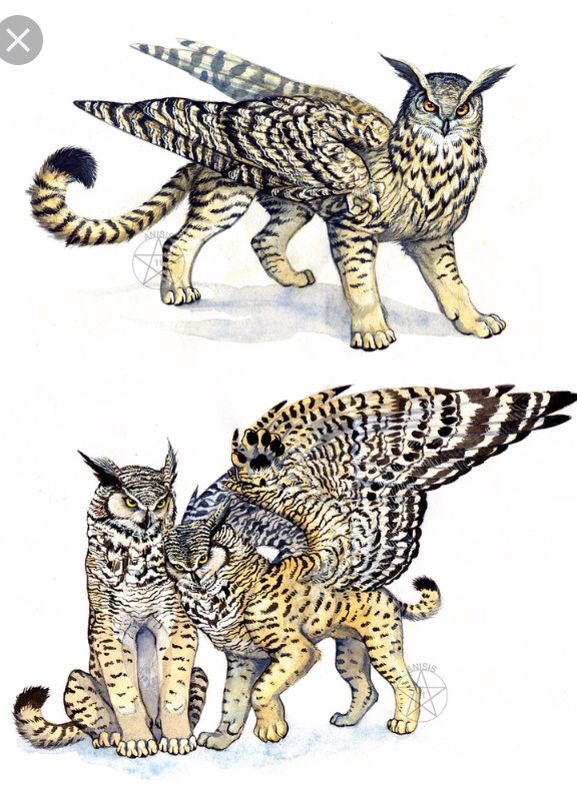 two drawings of cats playing with each other