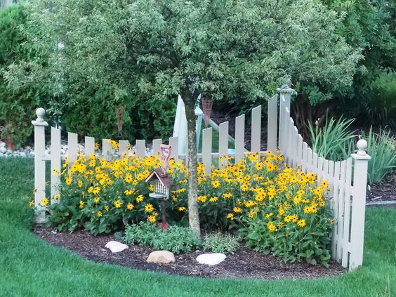 a white picket fence surrounded by yellow flowers