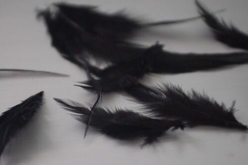 some black feathers are laying on the table