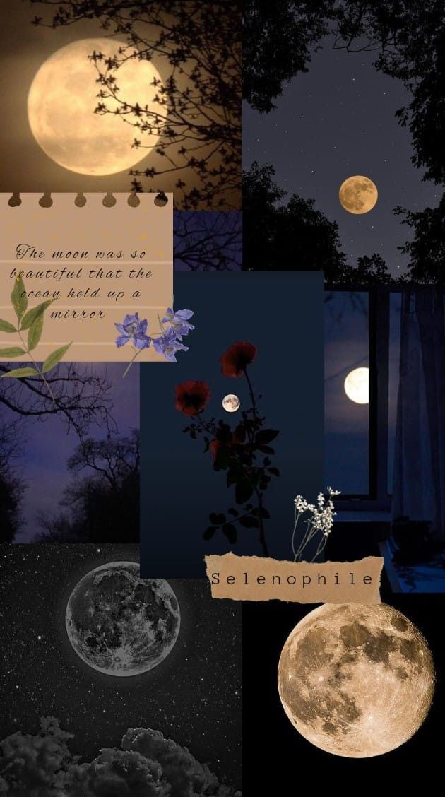 a collage of photos with the moon in the sky and flowers growing out of it