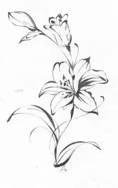 a black and white drawing of some flowers