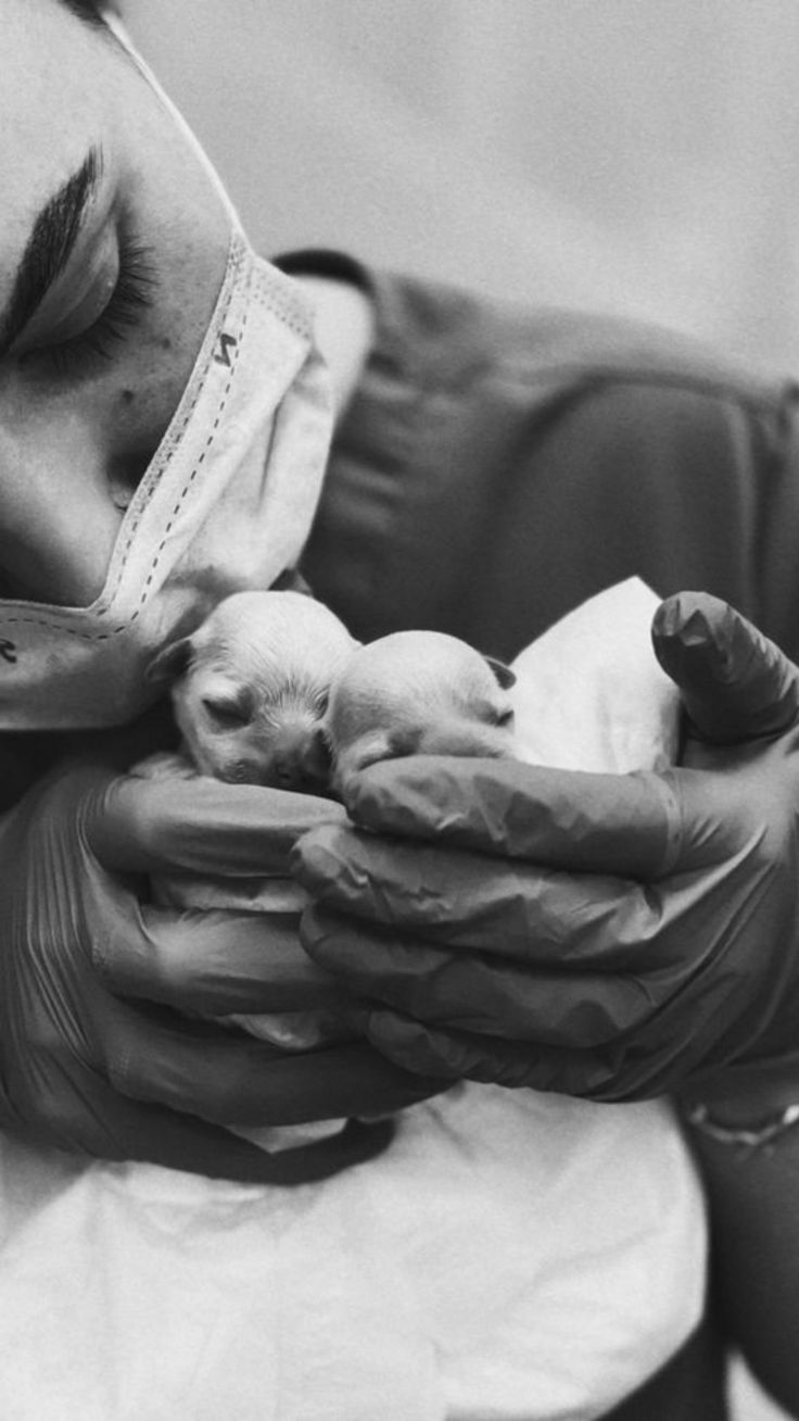 a man holding a small dog in his arms while wearing a face mask and latex gloves