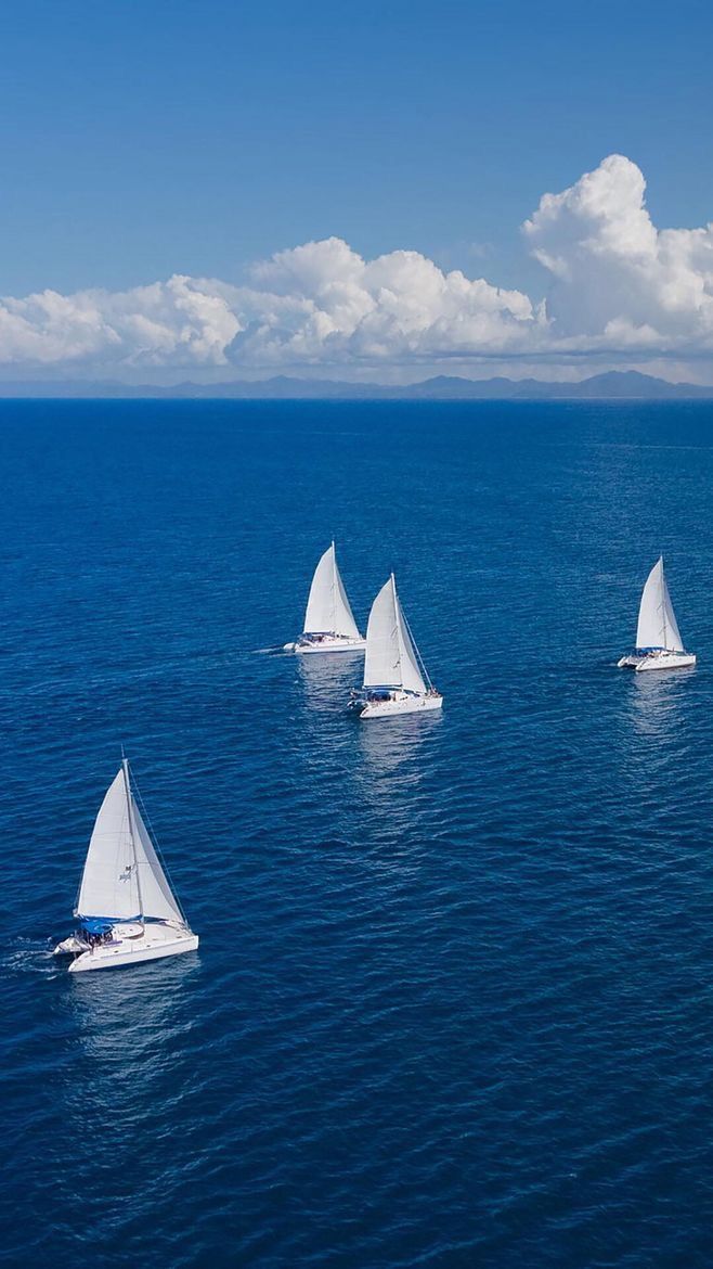 four sailboats in the ocean on a sunny day with blue sky and white clouds