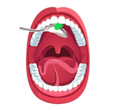 an open mouth with a toothbrush in it's mouth and the tongue is showing