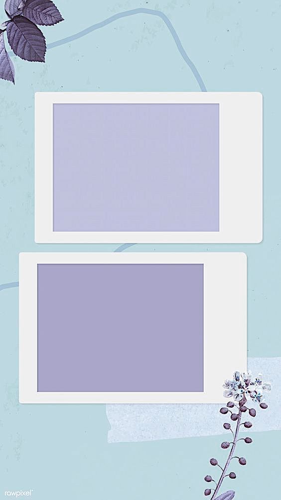 an image of two frames with flowers and leaves on them, one is blue and the other is purple