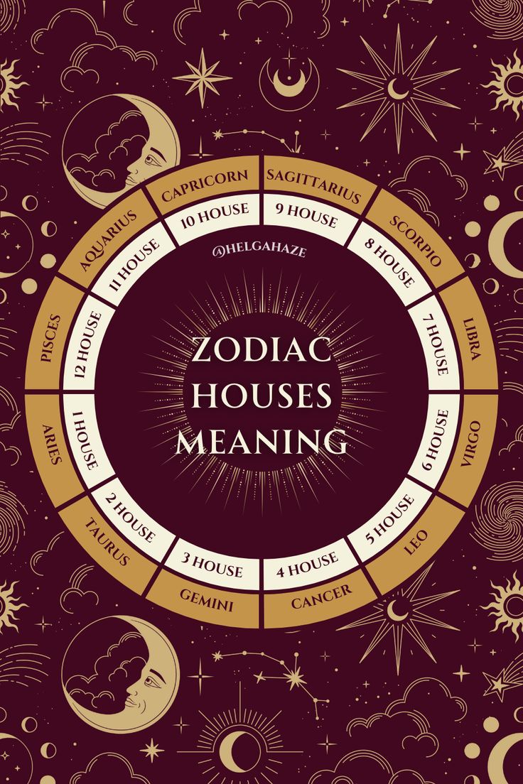 Western astrology houses and their meaning. #astrology #astrologyhouses #zodiachouses #astrologyexplained #astrologyinfographics Houses Of Astrology, Astrology Explained, Zodiac Houses, Astrology Houses, Western Astrology, Birth Chart Astrology, Sagittarius And Capricorn, Sun Moon Stars, 12 Zodiac