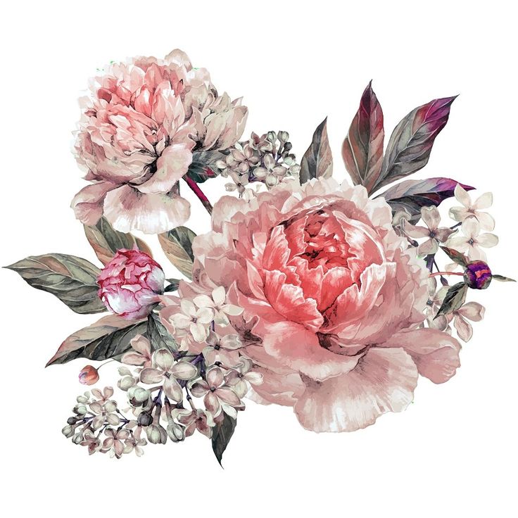 watercolor painting of pink peonies and other flowers